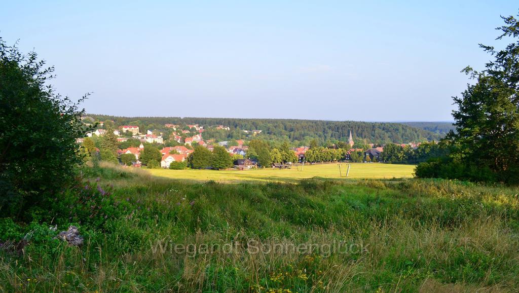 Sonnenglueck Mit Schwimmbad Apartment Braunlage Phòng bức ảnh